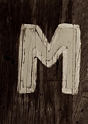 Wall_Art_Alphabet_Photography_Art_ 1422